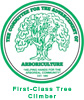first class