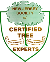tree_expert_society